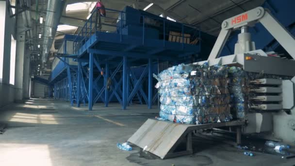 Bouteilles empilées dans une usine de recyclage, gros plan . — Video