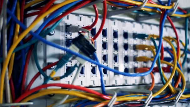 Ranuras de conexión de servidores con cables conectados — Vídeos de Stock