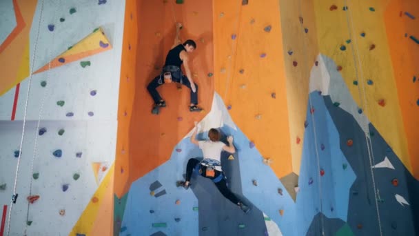 Dos personas están escalando un muro de entrenamiento artificial — Vídeo de stock