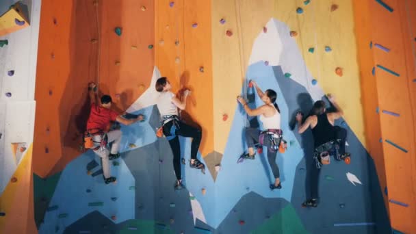 Grupo de personas están escalando una pared en un gimnasio de bouldering — Vídeos de Stock