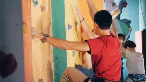 Males and females are clambering a bouldering wall in a gym — Stock Video