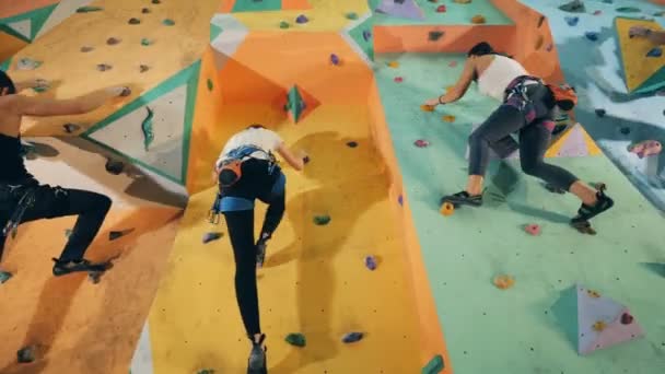 Training wall is getting climbed by a group of people — Stock Video