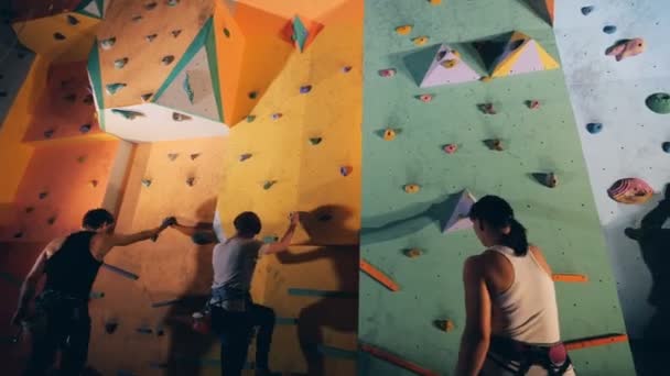 Plusieurs personnes viennent à un mur d'entraînement et commencent à l'escalader — Video