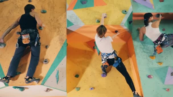 Dos hombres y dos mujeres están escalando una pared artificial — Vídeos de Stock