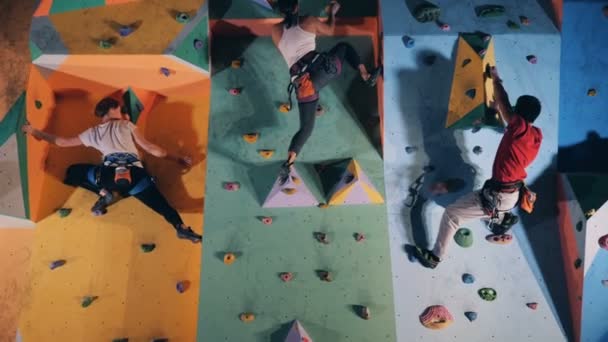 Two girls and a guy are bouldering a gym wall simultaneously — Stock Video