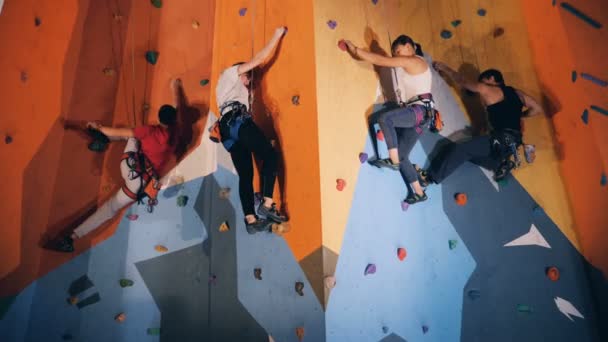 Proceso de escalada de cuatro personas a lo largo de la pared del gimnasio — Vídeo de stock