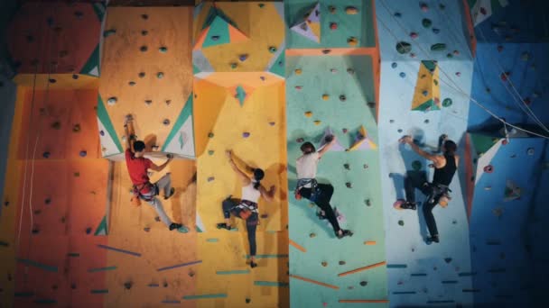 Groupe de personnes participent à une pratique d'escalade dans une salle de gym — Video