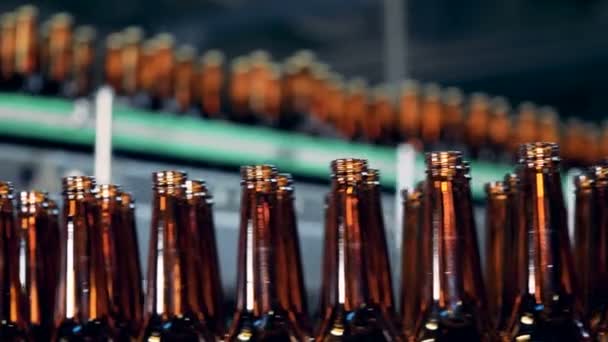 Botellas de cerveza vidriosas se mueven a lo largo del transportador de fábrica — Vídeos de Stock