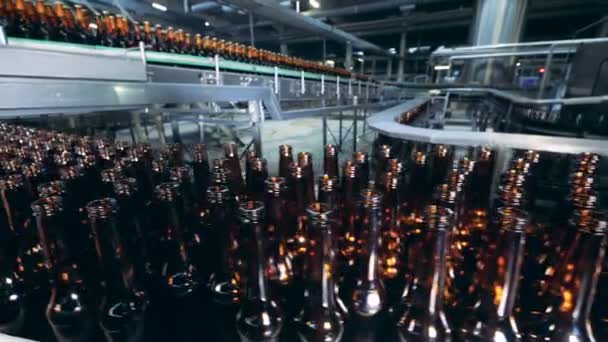Brouwerij plant met veel glazig bierflesjes vooruitbrengt op de transportband — Stockvideo