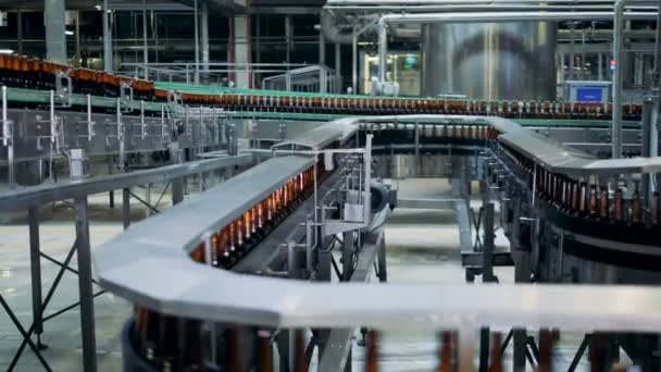 Long conveyor belt with plenty of beer bottles moving along it — Stock Video