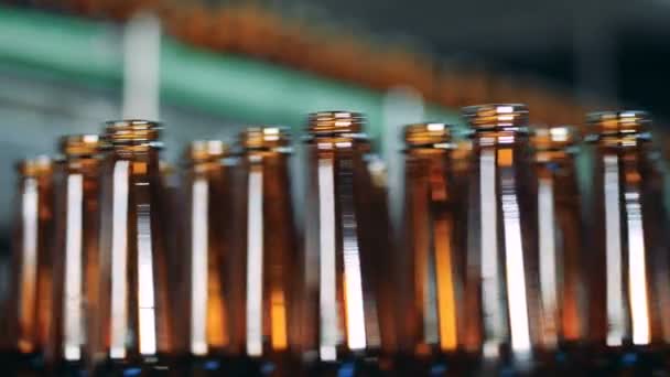 Close up de gargalos de garrafa marrom se movendo ao longo do transportador — Vídeo de Stock