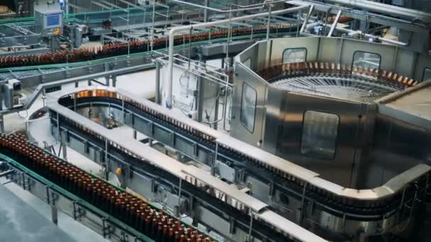 Brewery plant with transporting equipment and glassy bottles moving along it — Stock Video