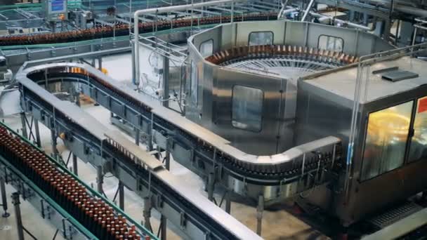 Beer bottles are being transported along automated conveyor belt — Stock Video