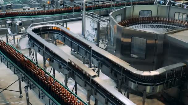 Industrial conveyors transporting beer bottles made of glass — Stock Video