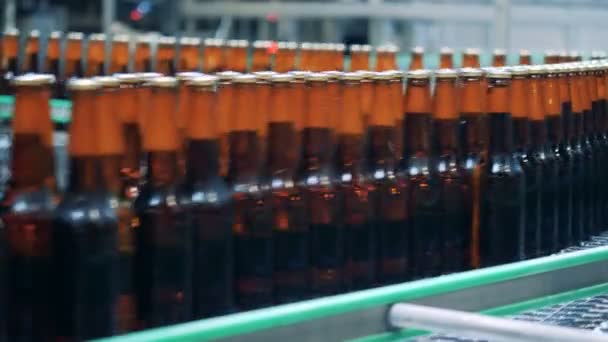 Bouteilles fraîches avec bière se déplacent le long du transporteur industriel — Video