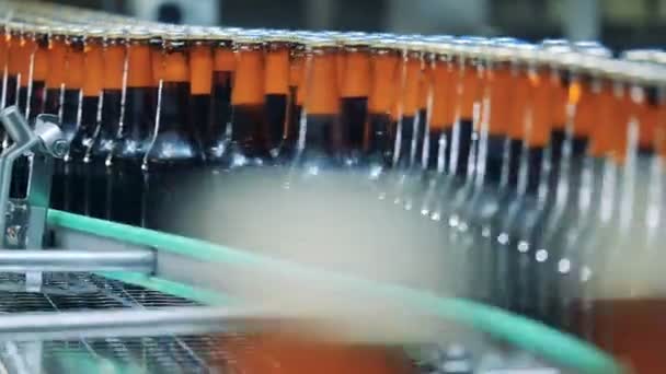 Botellas de cerveza hechas de vidrio están siendo reubicados — Vídeo de stock