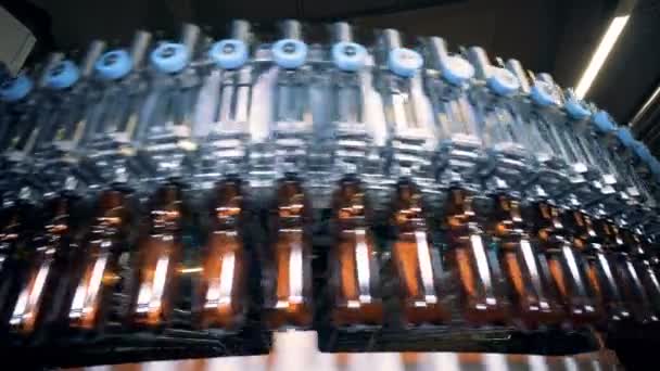 Processen av flaskor fylla på ett bryggeri, närbild. — Stockvideo