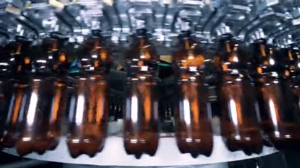 El equipo de la cervecería llena botellas de plástico, de cerca . — Vídeos de Stock