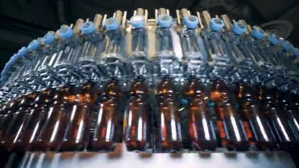 Metal machine fills bottles with plastic beer at a brewery, close up. — Stock Video