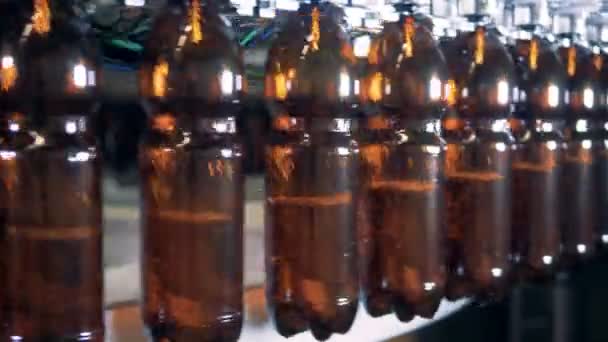 Processo di riempimento in un birrificio, da vicino . — Video Stock