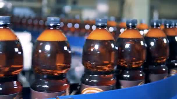 Bouteilles en plastique se déplaçant sur un convoyeur, gros plan . — Video