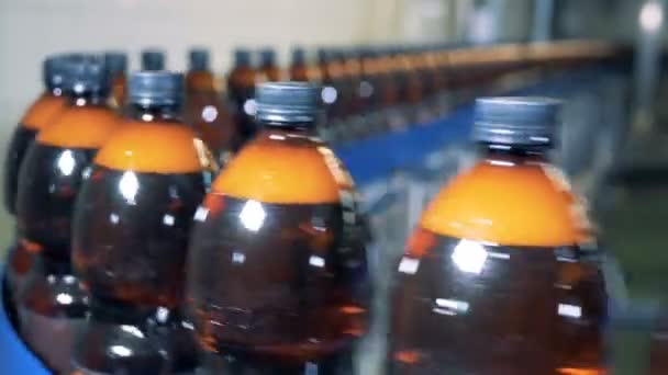 Lots of plastic bottles on a conveyor in a row, close up. — Stock Video