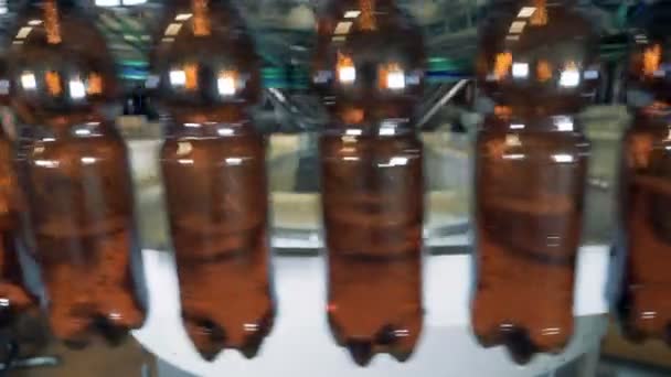 Máquina cervecera vierte cerveza en botellas, de cerca . — Vídeos de Stock
