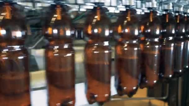Garrafas de cerveja enchidas em uma cervejaria, de perto . — Vídeo de Stock