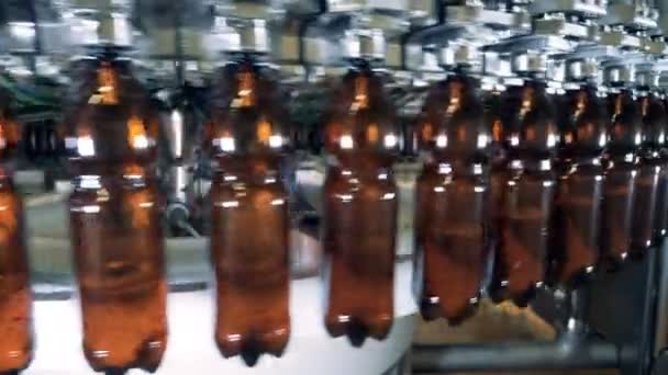 Mecanismo Gira Garrafas Enchendo Com Cerveja — Vídeo de Stock