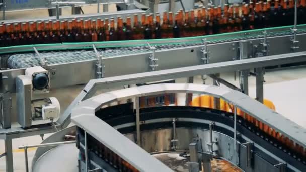 Conveyors with beer working in a facility. — Stock Video