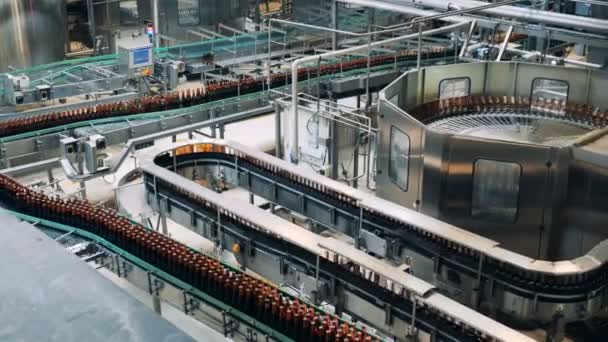 Speciale Machine Werkt Bij Een Brouwerij Het Verplaatsen Van Flessen — Stockvideo