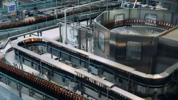 Línea de fábrica mueve botellas en una cervecería . — Vídeo de stock