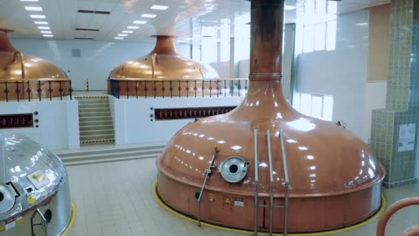 Caixas de cerveja maciça em uma instalação de destilaria — Vídeo de Stock