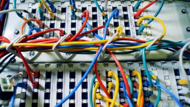 Muitos cabos multicoloridos, fios, cabos em um data center. Caos, mexer com fios . — Vídeo de Stock