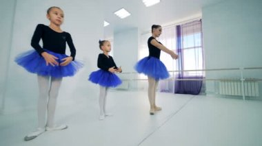 Küçük bale dansçıları bir eğitim sırasında yakın çekim.