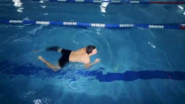 一个拿着腿假体的运动员在游泳池里游泳, 顶视图. — 图库视频影像