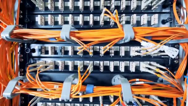 Data servers with orange wires plugged into them — Stock Video