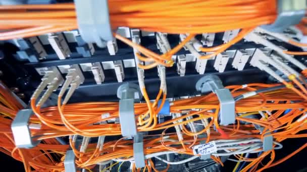 Sets of orange cables connected to servers — Stock Video