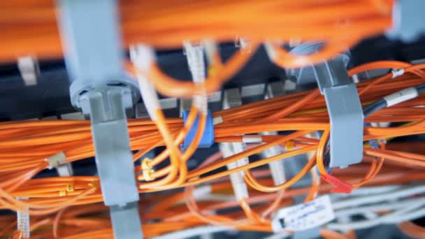 Cables brillantes que conectan servidores de datos a una red — Vídeos de Stock