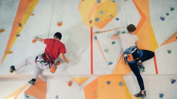 Les gens donnent un cinq, se saluant sur un mur d'escalade, ferment . — Video