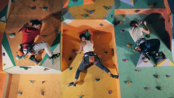 People climbing on a wall while training, close up. — Stock Video