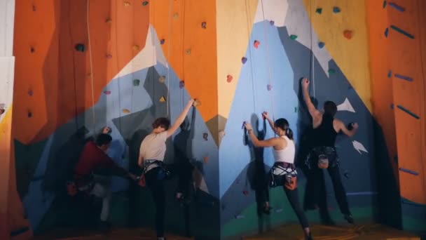 Mujeres y hombres tratando de subir a una pared, de cerca . — Vídeos de Stock