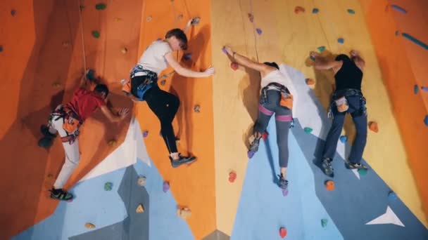 Mensen rusten tijdens een training op een muur, close-up. — Stockvideo