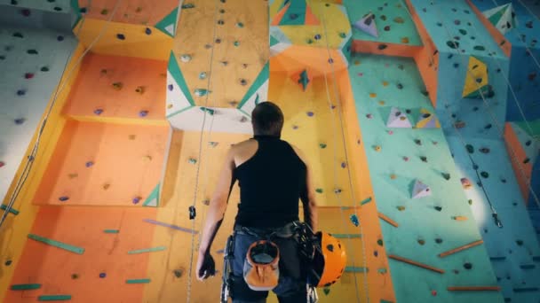 Un escalador mira hacia arriba en una pared, vista de fondo . — Vídeos de Stock