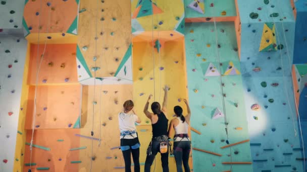 Gente discutiendo una escalada cerca de una pared, vista trasera . — Vídeo de stock