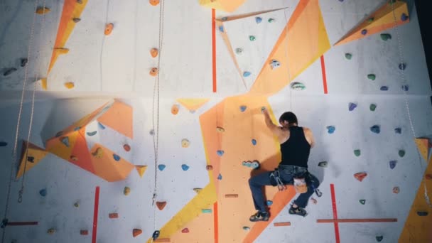 Deportista Pisa Rocas Una Pared Mientras Entrena — Vídeo de stock