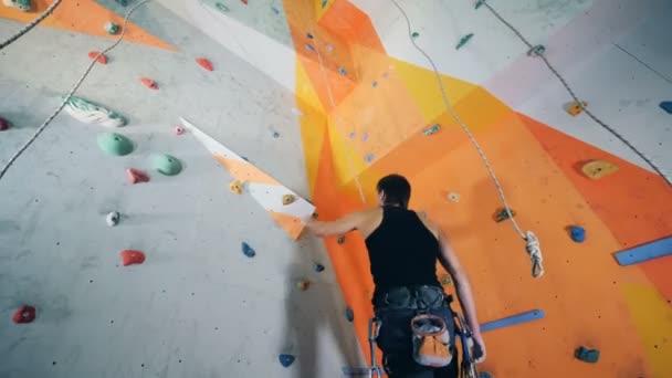 Um desportista a subir numa parede de escalada, vista de baixo . — Vídeo de Stock