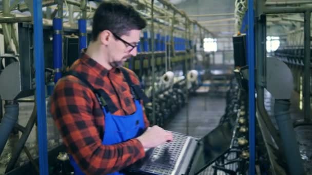 Sezione di mungitura in fabbrica e un dipendente maschio che lavora su un computer portatile — Video Stock