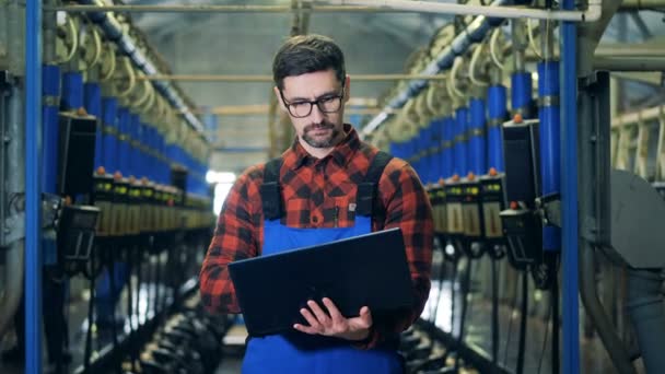 Mužské specialista stojí v dojení sekce a procházení laptop — Stock video