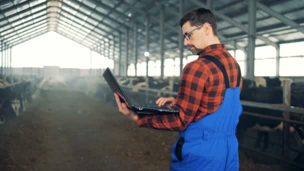 Agricultor está andando ao longo do byre com um laptop — Vídeo de Stock